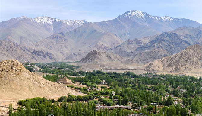 Blog images - 2025 VOL 2 - GettyImages