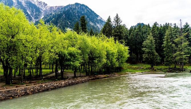 Blog images - 2025 VOL 2 - GettyImages