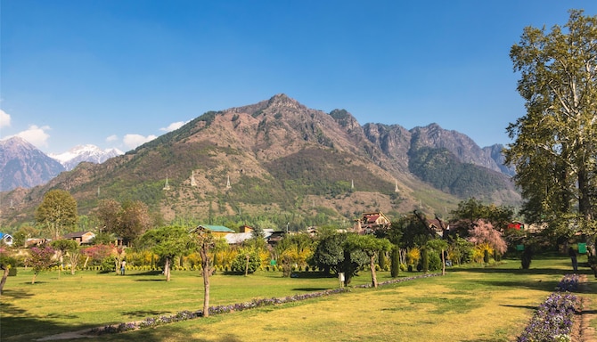 Blog images - 2025 VOL 2 - GettyImages