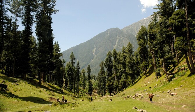 Blog images - 2025 VOL 2 - GettyImages