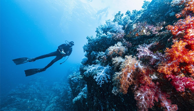 Blog images - 2025 VOL 2 - GettyImages