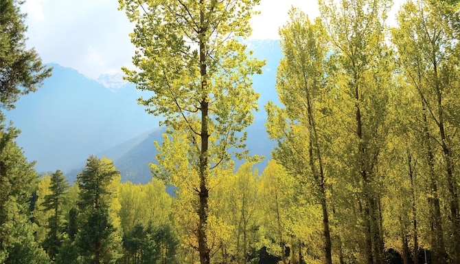 Blog images - 2025 VOL 2 - GettyImages