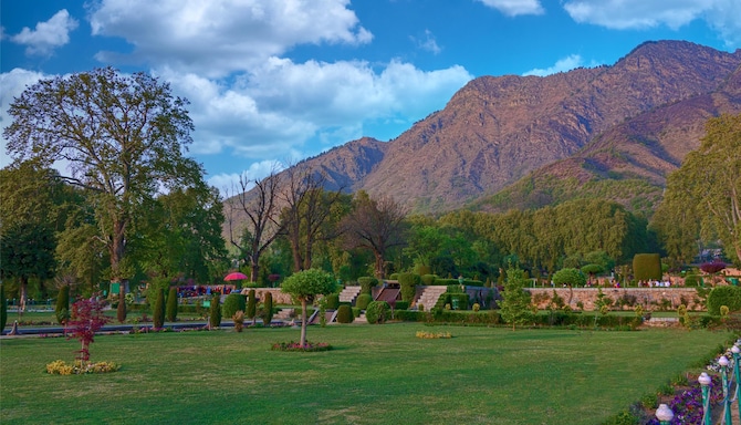 Blog images - 2025 VOL 2 - GettyImages