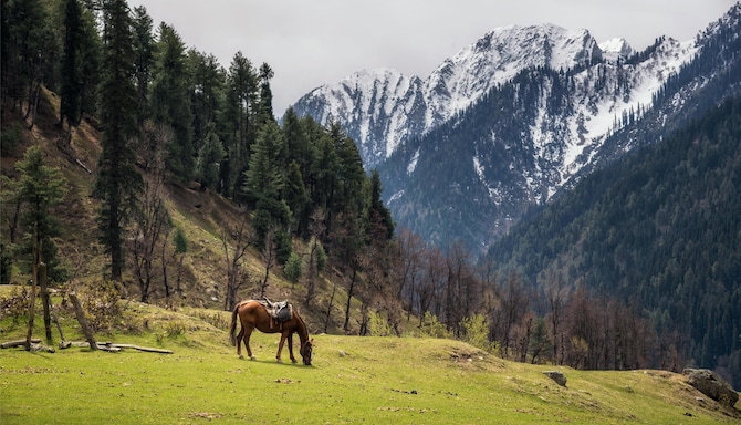 Blog images - 2025 VOL 2 - GettyImages