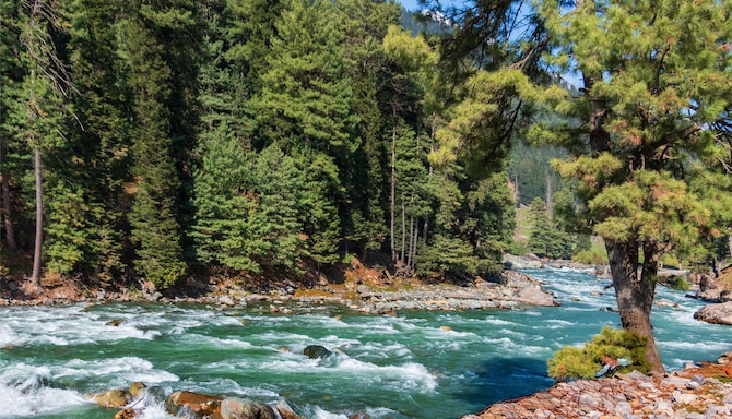 Blog images - 2025 VOL 2 - GettyImages