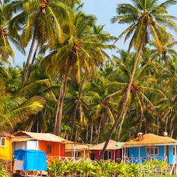 Blog images - 2025 VOL 2 - link image goa beach