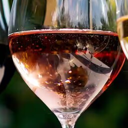 Blog images - 2025 VOL 2 - link image lyon wine