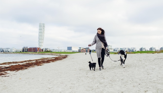 Blog images - 2025 VOL 3 - GettyImages