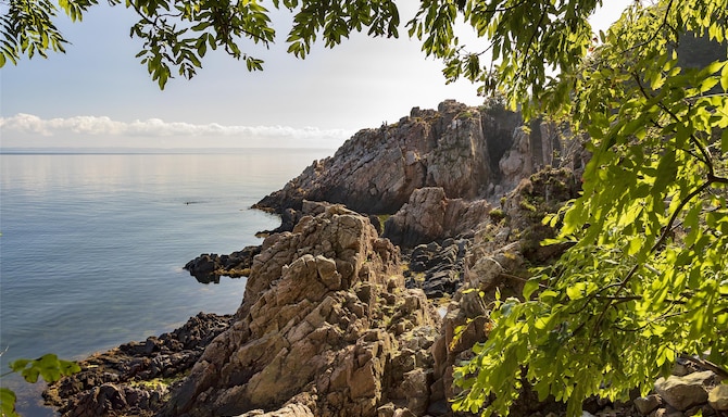 Blog images - 2025 VOL 3 - GettyImages