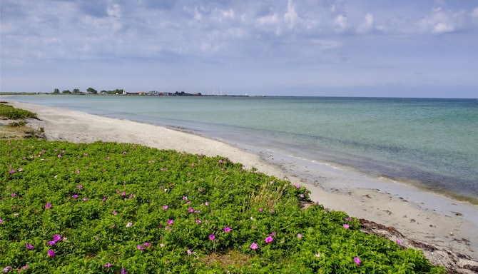 Blog images - 2025 VOL 3 - GettyImages