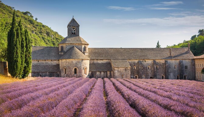 Blog images - 2025 VOL 3 - GettyImages