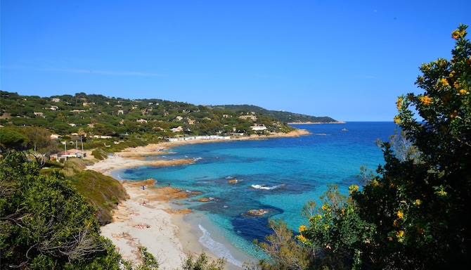 Blog images - 2025 VOL 3 - GettyImages