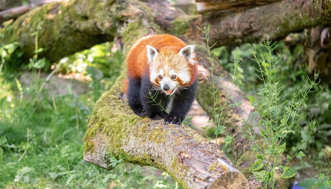 Blog images - 2025 VOL 3 - GettyImages