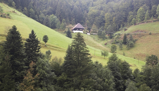 Blog images - 2025 VOL 3 - GettyImages