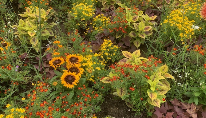 Blog images - 2025 VOL 3 - GettyImages