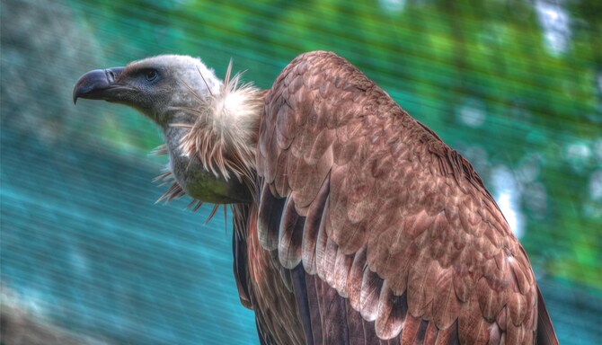 Blog images - 2025 VOL 3 - GettyImages