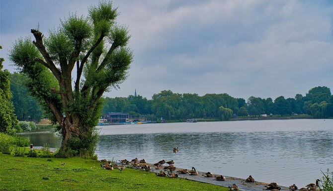 Blog images - 2025 VOL 3 - GettyImages