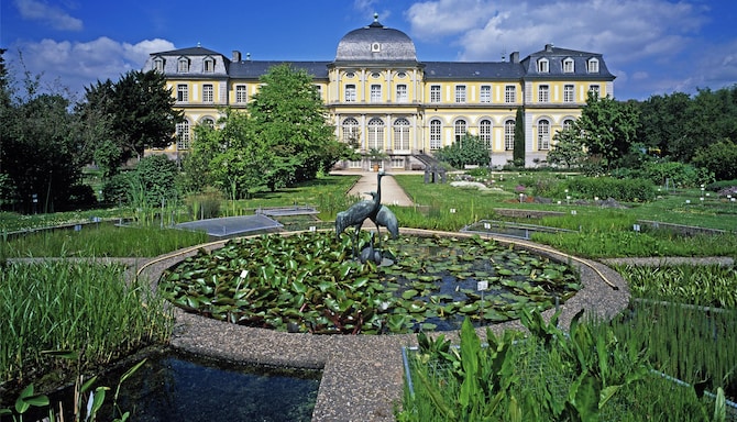 Blog images - 2025 VOL 3 - Discovering the Charm of Bonn