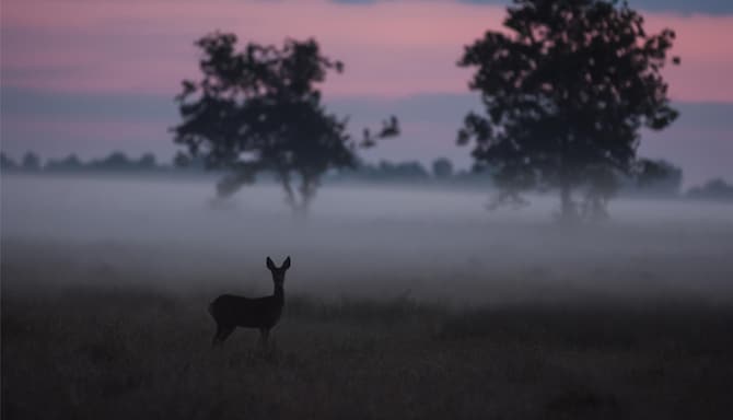 Blog images - 2025 VOL 3 - GettyImages