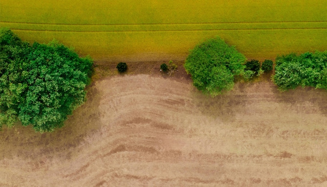 Blog images - 2025 VOL 3 - GettyImages