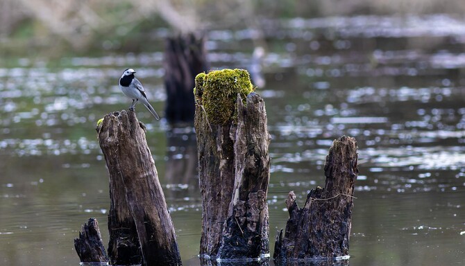 Blog images - 2025 VOL 3 - GettyImages