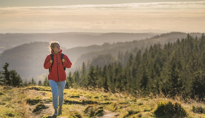 Blog images - 2025 VOL 3 - GettyImages