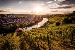 Blog images - 2025 VOL 3 - Day Trips from Stuttgart