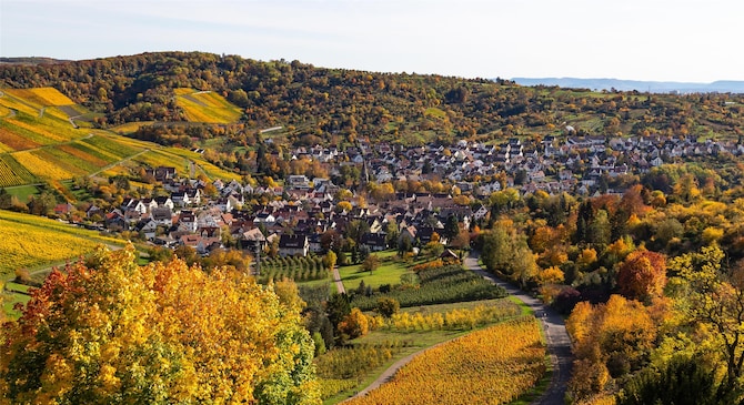 [DO NOT USE] Blog images - 2025 VOL 3 - Discover Wilhelm Zoo