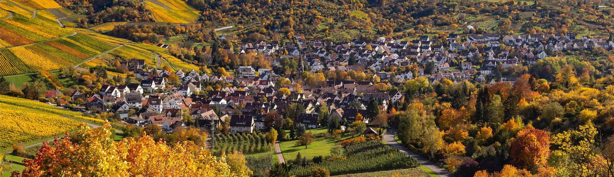 [DO NOT USE] Blog images - 2025 VOL 3 - Discover Wilhelm Zoo