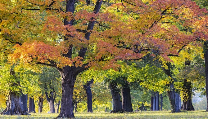 Blog images - 2025 VOL 3 - GettyImages