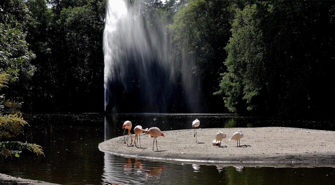 Blog images - 2025 VOL 3 - GettyImages