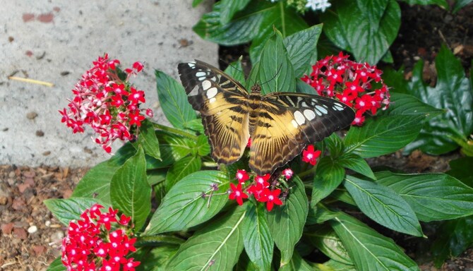 Blog images - 2025 VOL 3 - GettyImages