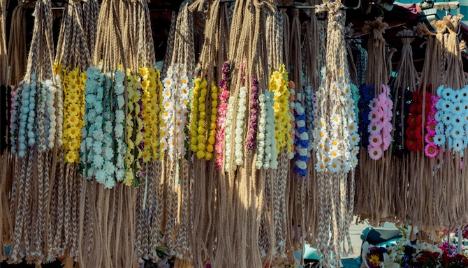 Blog images - 2025 VOL 3 - GettyImages