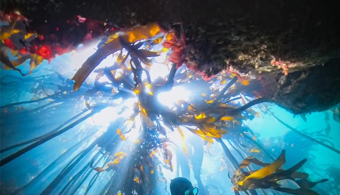 Blog images - 2025 VOL 3 - PSX