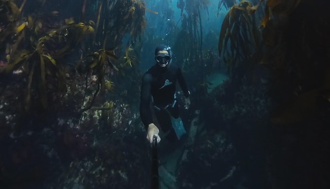 Blog images - 2025 VOL 3 - PSX