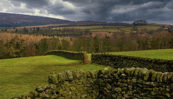 Blog images - 2025 VOL 3 - GettyImages