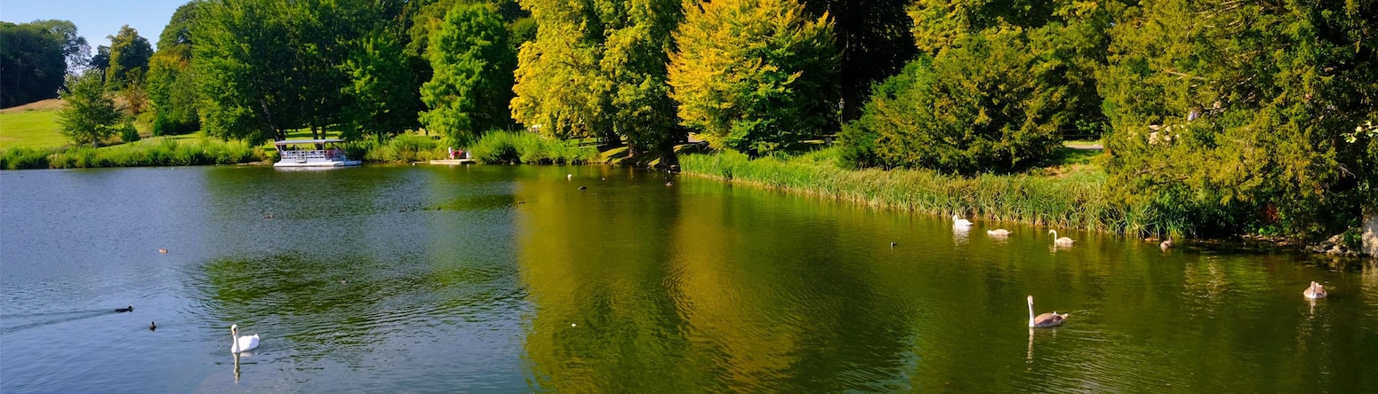 Blog images - 2025 VOL 3 - GettyImages