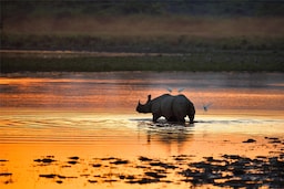 Blog images - 2025 VOL 3 - Discover Kaziranga National Park s Hidden Wonders