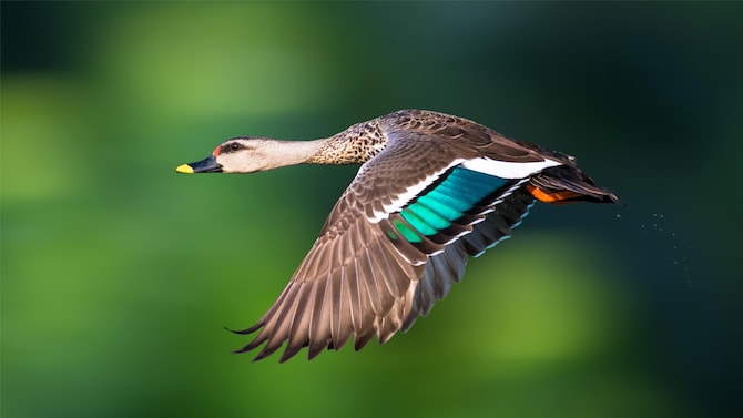 Blog images - 2025 VOL 3 - GettyImages