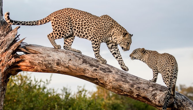 Blog images - 2025 VOL 3 - GettyImages