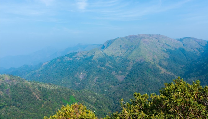 Blog images - 2025 VOL 3 - GettyImages