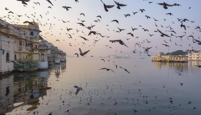 Blog images - 2025 VOL 3 - GettyImages