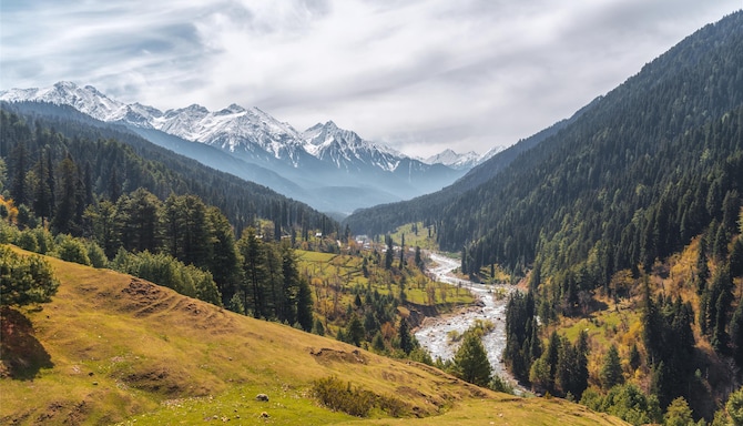 Blog images - 2025 VOL 3 - GettyImages