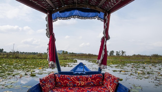 Blog images - 2025 VOL 3 - GettyImages