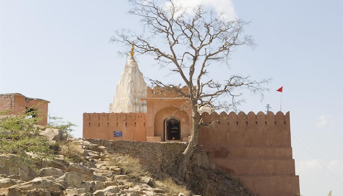 Blog images - 2025 VOL 3 - GettyImages sbk