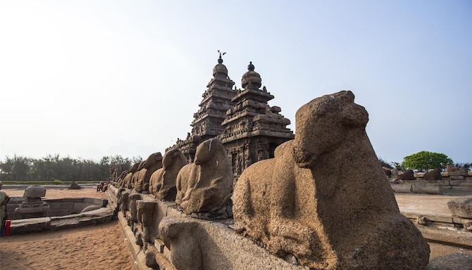 Blog images - 2025 VOL 3 - GettyImages