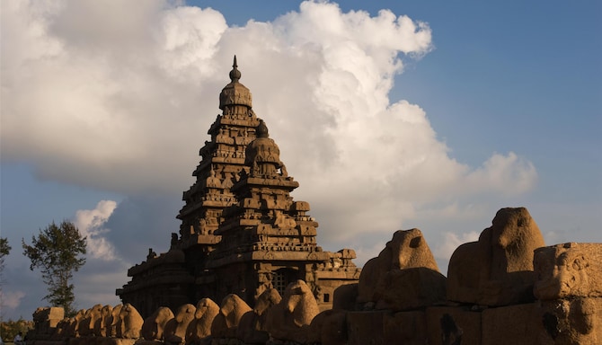 Blog images - 2025 VOL 3 - GettyImages