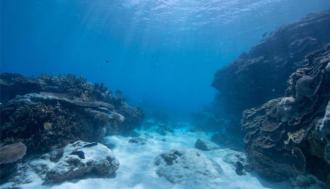 Blog images - 2025 VOL 3 - GettyImages