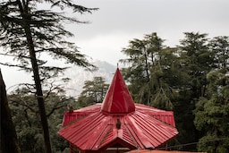 Blog images - 2025 VOL 3 - Discover the Hanuman Temple in Shimla