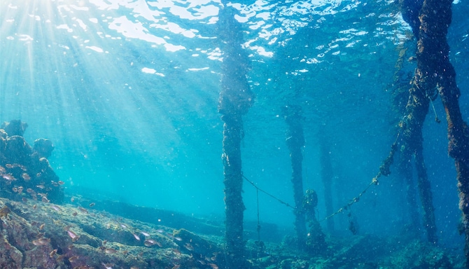 Blog images - 2025 VOL 3 - GettyImages